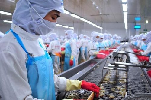 Doanh nghiệp thực phẩm chế biến rộng đường xuất khẩu sang Canada