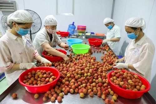 Khai thác tiềm năng, xúc tiến hàng hóa sang thị trường Canada