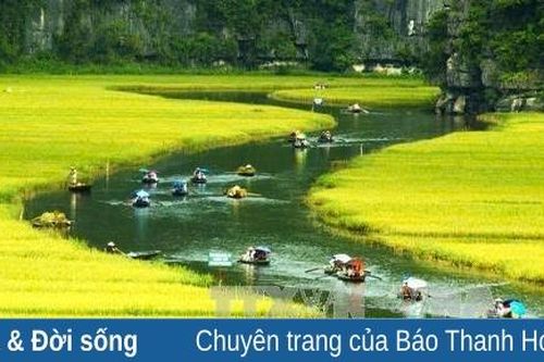 Nhịp quê...