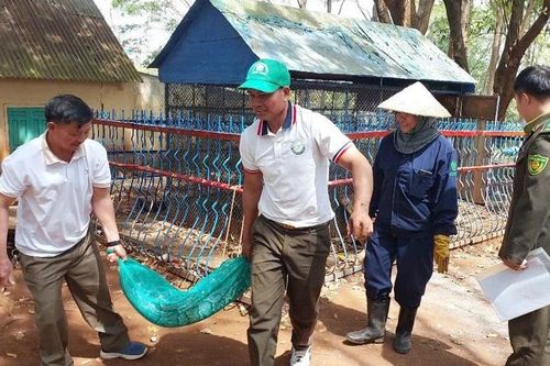 Chung tay bảo vệ động vật hoang dã nguy cấp, quý hiếm