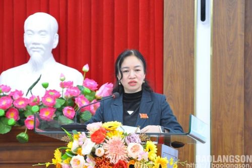 HĐND thành phố Lạng Sơn họp chuyên đề xem xét, thông qua Nghị quyết về thành lập, sắp xếp lại các cơ quan chuyên môn
