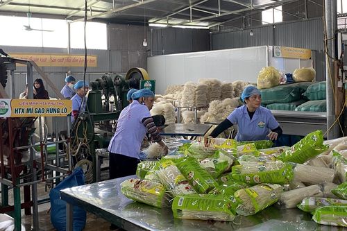 Mì gạo Hùng Lô: Từ làng ra 'biển lớn'
