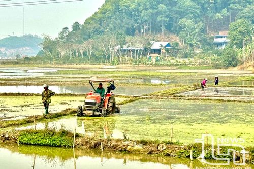 Để những cánh đồng không khô khát