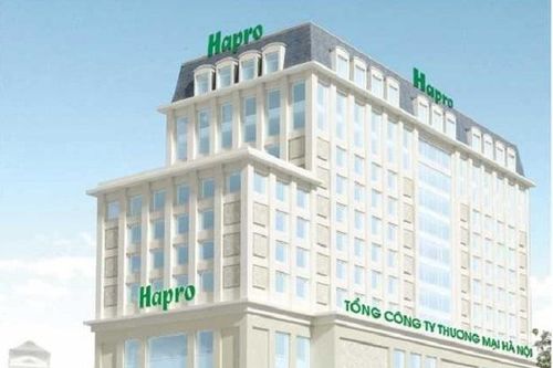 Hapro bổ nhiệm tân Tổng Giám đốc mới