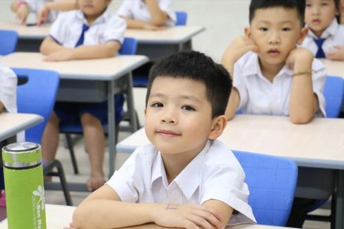 Mẫu đơn đăng ký học thêm theo Thông tư 29/2024/TT-BGDĐT