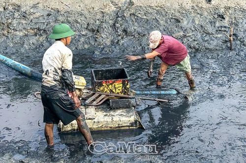 Tiến tới chấm dứt hoàn toàn khai thác hủy diệt