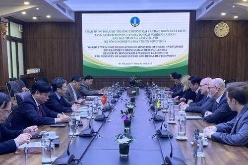 Nâng cao kim ngạch xuất nhập khẩu nông sản giữa Việt Nam - Canada