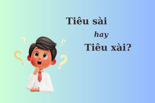 99% người viết sai: 'Tiêu sài' hay 'tiêu xài'?