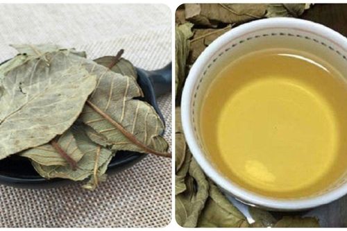 Chuyên gia chỉ ra 9 tác dụng của nước lá ổi khô với sức khỏe