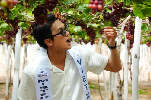 Có gì ở cuộc thi Nam vương Du lịch nơi đại diện Việt vừa đăng quang?