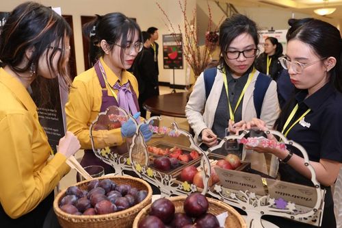 Australia-Việt Nam thúc đẩy xuất khẩu trái cây, mận Úc chính thức có ở Hà Nội