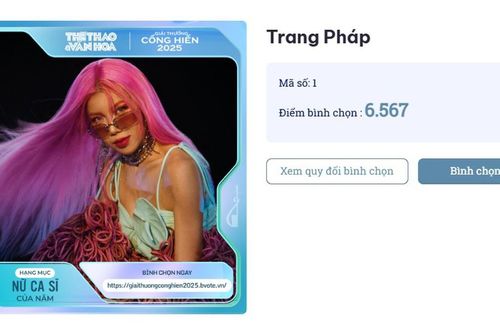Nhật kí bình chọn Giải Cống hiến lần 19 - 2025: SOOBIN, Trang Pháp và Dương Domic dẫn đầu