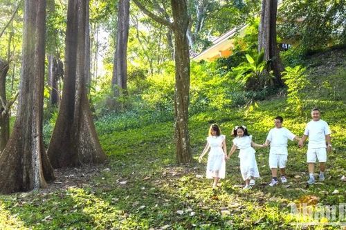 Du lịch Đồng Nai cất cánh cùng hàng không