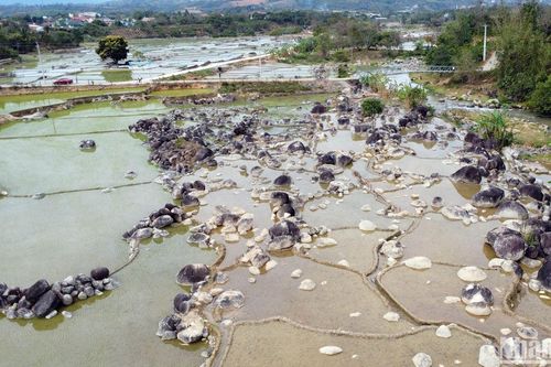 Kỳ thú đá 'mọc' trên đồng lúa Mê Ka