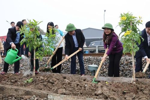 Phát động Tết trồng cây và triển khai phong trào 'Đường tàu-Đường hoa' Xuân Ất Tỵ 2025