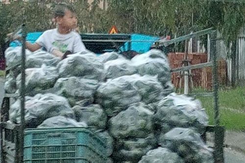 Quá nguy hiểm!