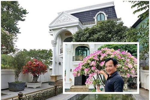 Cận cảnh nhà vườn 1.000m2 như 'lâu đài' của nghệ sĩ Quang Tèo