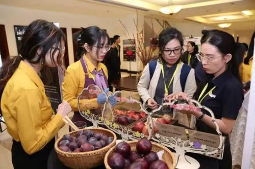 Mận Australia chính thức có mặt tại Việt Nam, hứa hẹn tạo xu hướng mới trong thị trường trái cây nhập khẩu