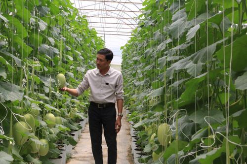 Phát triển nông nghiệp công nghệ cao ở huyện biên giới Đắk Mil