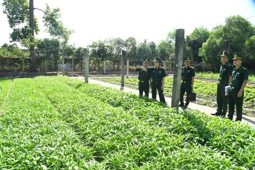 BĐBP Tây Ninh đảm bảo tốt công tác hậu cần, kỹ thuật trong huấn luyện năm 2025