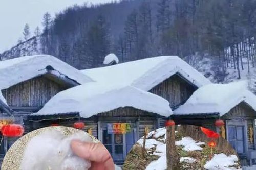 Phẫn nộ vì khu du lịch tạo tuyết bằng bông trộn xà phòng
