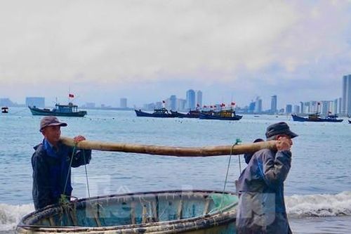 'Bỏ túi' bộn tiền với nghề 5h xuống biển, 10h lên bờ