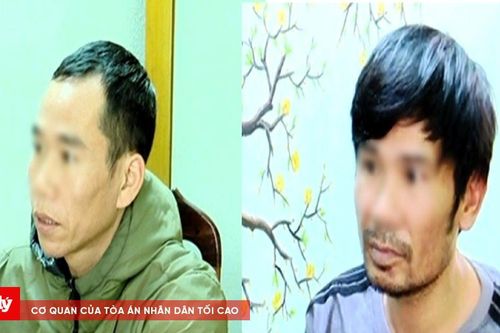 Ninh Bình: Bắt giữ 2 vụ, 2 đối tượng cướp giật tài sản