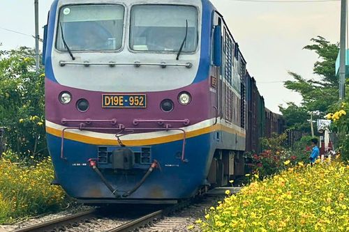Hành lang đường sắt Đồng Nai 'thay áo', thành đường hoa rực rỡ
