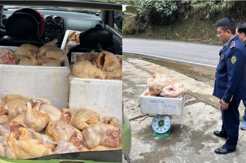 Phát hiện xe chở hơn 180 kg thịt gà không rõ nguồn gốc, bốc mùi