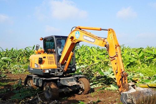 Việc cưỡng chế thực hiện quyết định kiểm đếm bắt buộc được thực hiện khi nào?