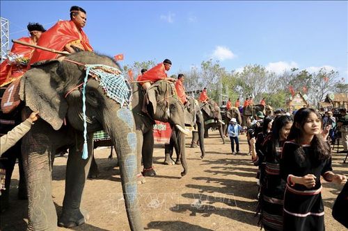 Xây dựng 34 chương trình tour du lịch phục vụ Lễ hội Cà phê Buôn Ma Thuột
