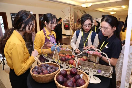 Mận Australia lần đầu ra mắt tại Việt Nam