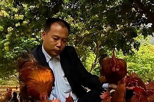 'Gã khờ' bán nhà, bán xe nuôi gà bị cả làng chế nhạo, 4 năm sau kiếm bạc tỉ