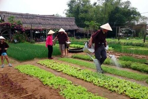 Mở đăng ký giải thưởng 'làng du lịch tốt nhất'