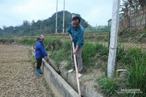 Sôi nổi ra quân làm giao thông, thủy lợi