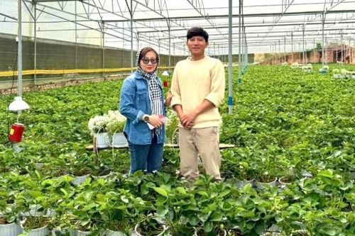 Nông nghiệp bền vững dựa trên các giải pháp then chốt