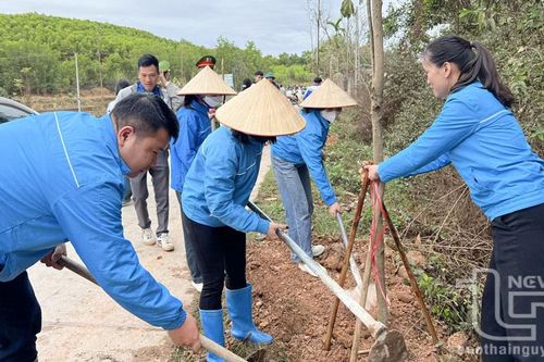 Tuổi trẻ Phú Bình xung kích bảo vệ môi trường