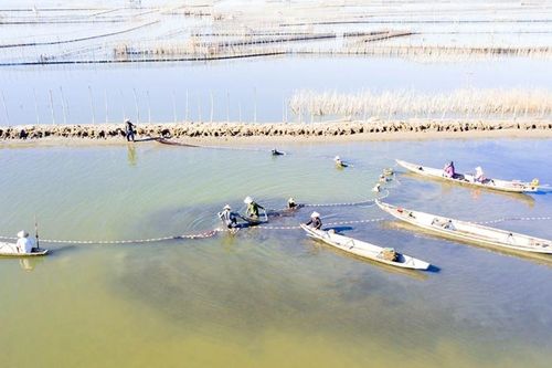 Sản xuất giống thủy sản chất lượng