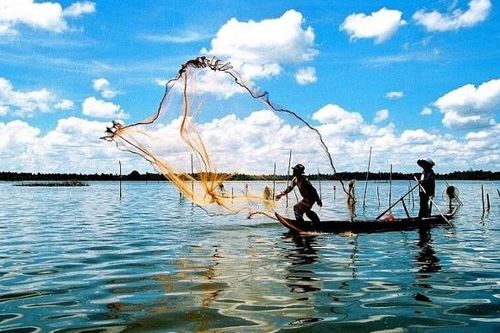 Trái chiều bức tranh kinh doanh ngành thủy sản năm 2024