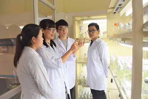 Nghiên cứu khoa học và công nghệ được khoán chi đến sản phẩm cuối cùng, ưu đãi thuế TNCN, TNDN