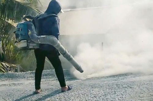 Thanh Hóa: Thực hiện các giải pháp đẩy mạnh, nâng cao hiệu quả công tác bảo vệ môi trường