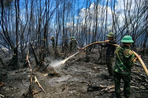 Kiên Giang: Tăng cường phòng, chống cháy rừng tại TP. Phú Quốc