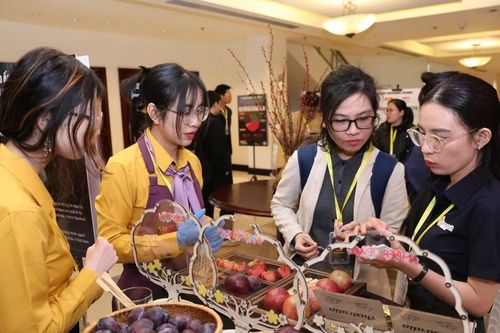Mận Úc chính thức vào Việt Nam