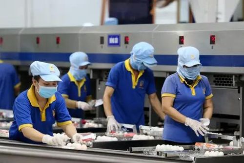 Doanh nghiệp ứng phó bài toán thiếu lao động sau Tết
