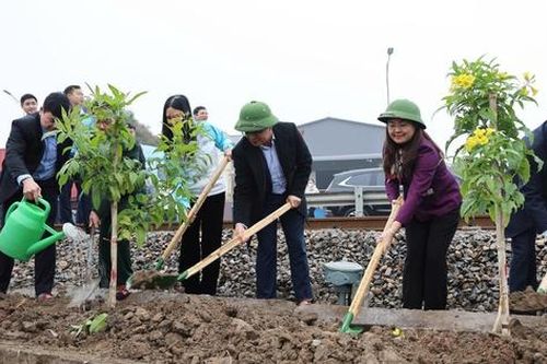 Ngành Đường sắt phát động Tết trồng cây và triển khai phong trào 'Đường tàu – Đường hoa' Xuân Ất Tỵ 2025