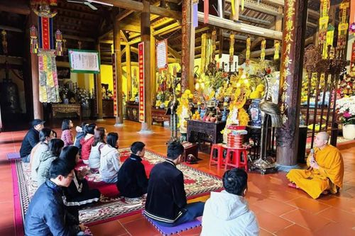 Lịch khóa tu Thiền Tháng 2+3/2025 do Gosinga tổ chức