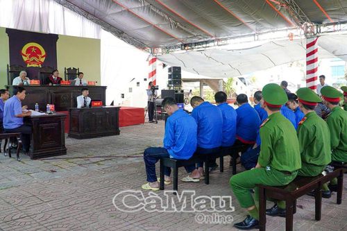 Hàng loạt án tù cho hành vi che giấu thiết bị giám sát hành trình tàu cá