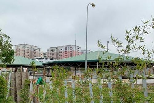 Tin tức đặc biệt trên báo in Hànôịmới ngày 19-2-2025