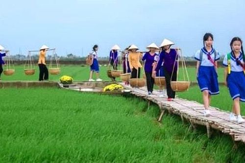Huế: Làng bún đầu tiên được vinh danh Di sản văn hóa phi vật thể quốc gia