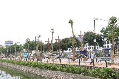 Giao hơn 3.400m2 đất cho quận Tây Hồ để xây dựng vườn hoa, cây xanh